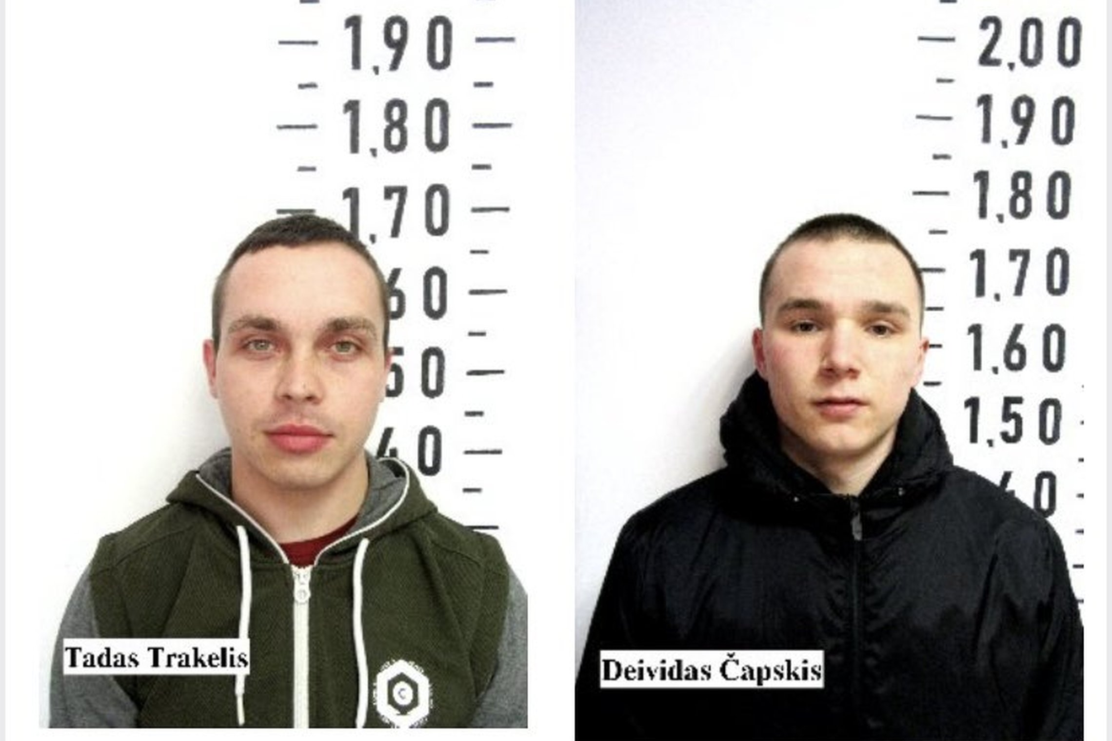 Iliustracija