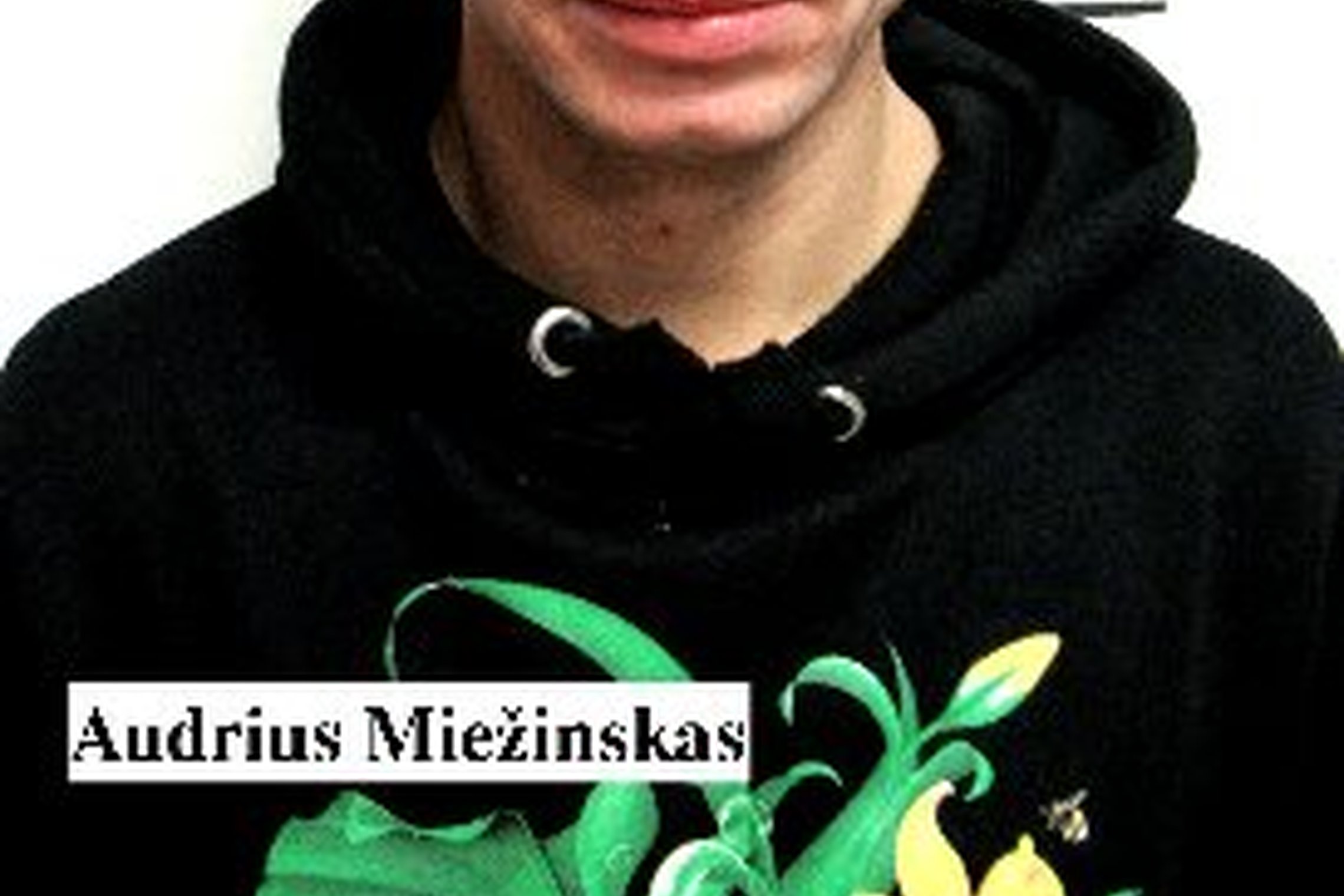 Iliustracija