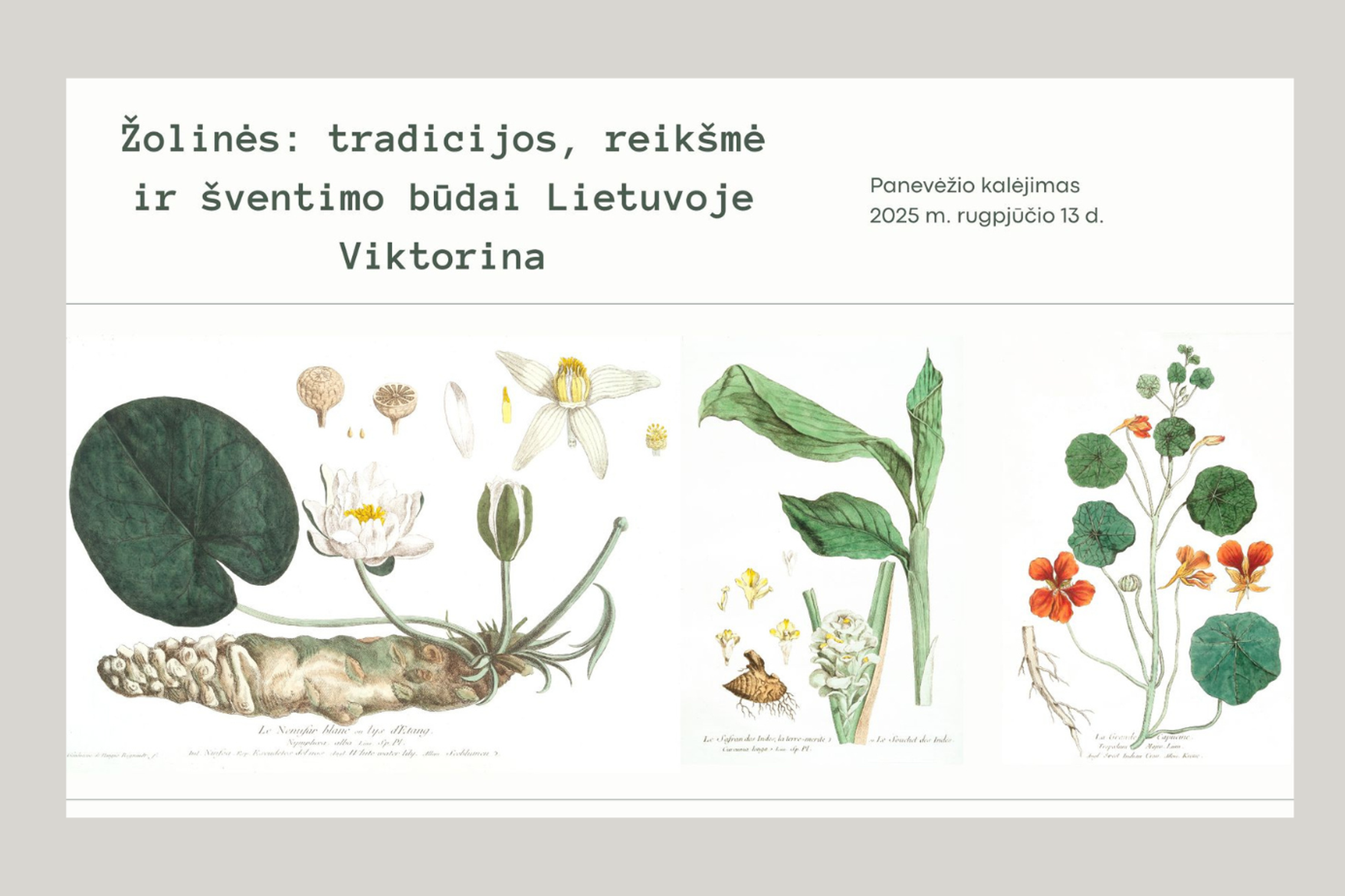 Iliustracija